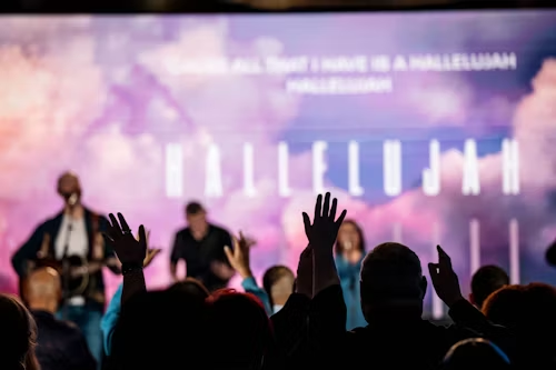 A crowd with hands raised at an event, symbolizing collective excitement and participation.